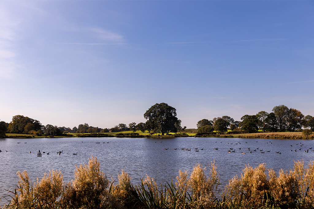 The lake at Sandhole Oak looks beautiful on a sunny day and is perfect for summer wedding photos